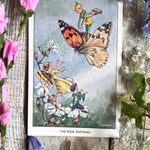 Rene Cloke Fairyland Postcard Series -The Pixie Postman