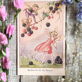 Rene Cloke Fairyland Postcard Series - Blackberries For The Banquet