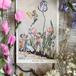 Rene Cloke Fairyland Postcard Series - The Prize Tulip