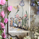 Rene Cloke Fairyland Postcard Series - The Prize Tulip