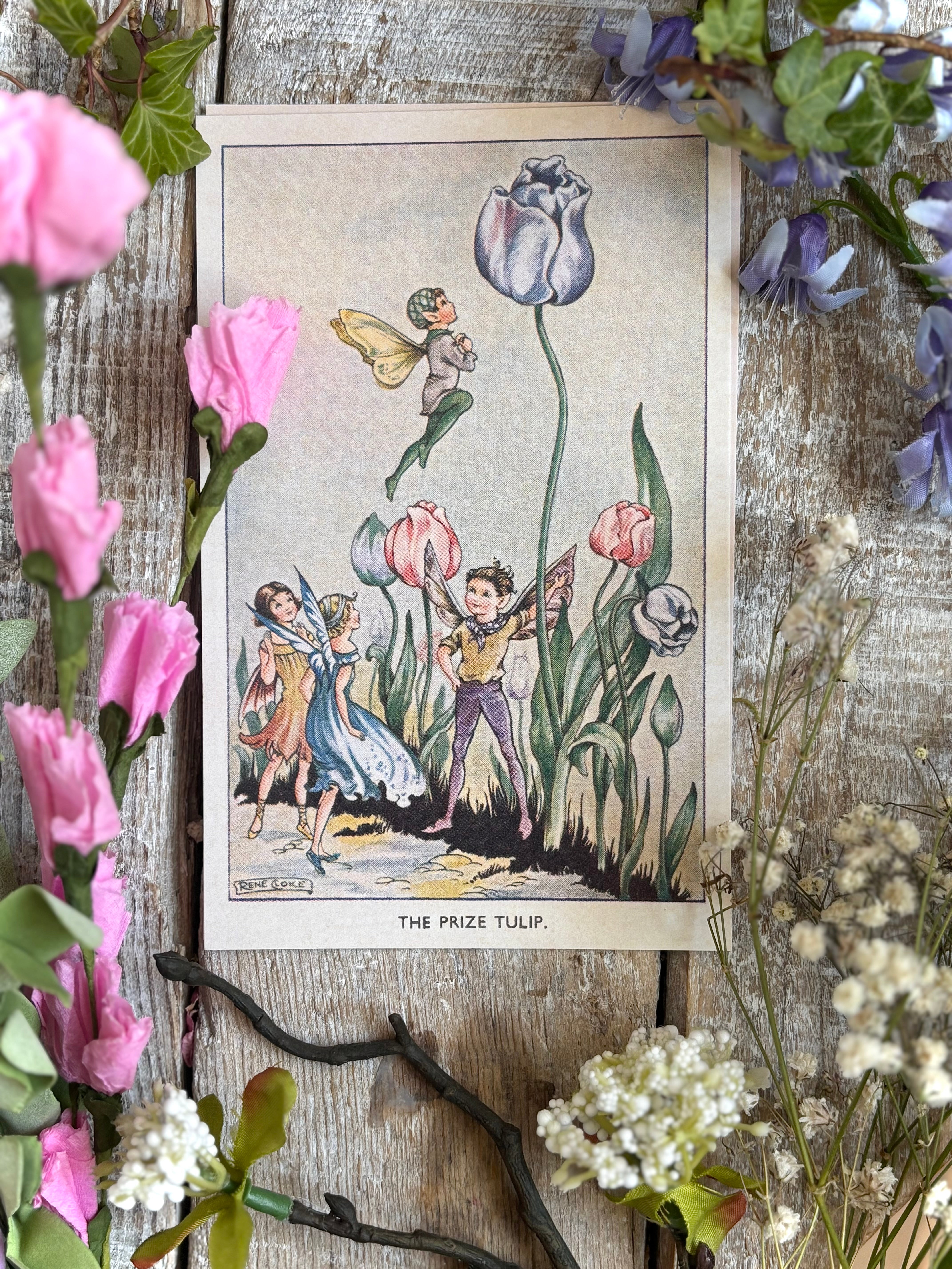 Rene Cloke Fairyland Postcard Series - The Prize Tulip