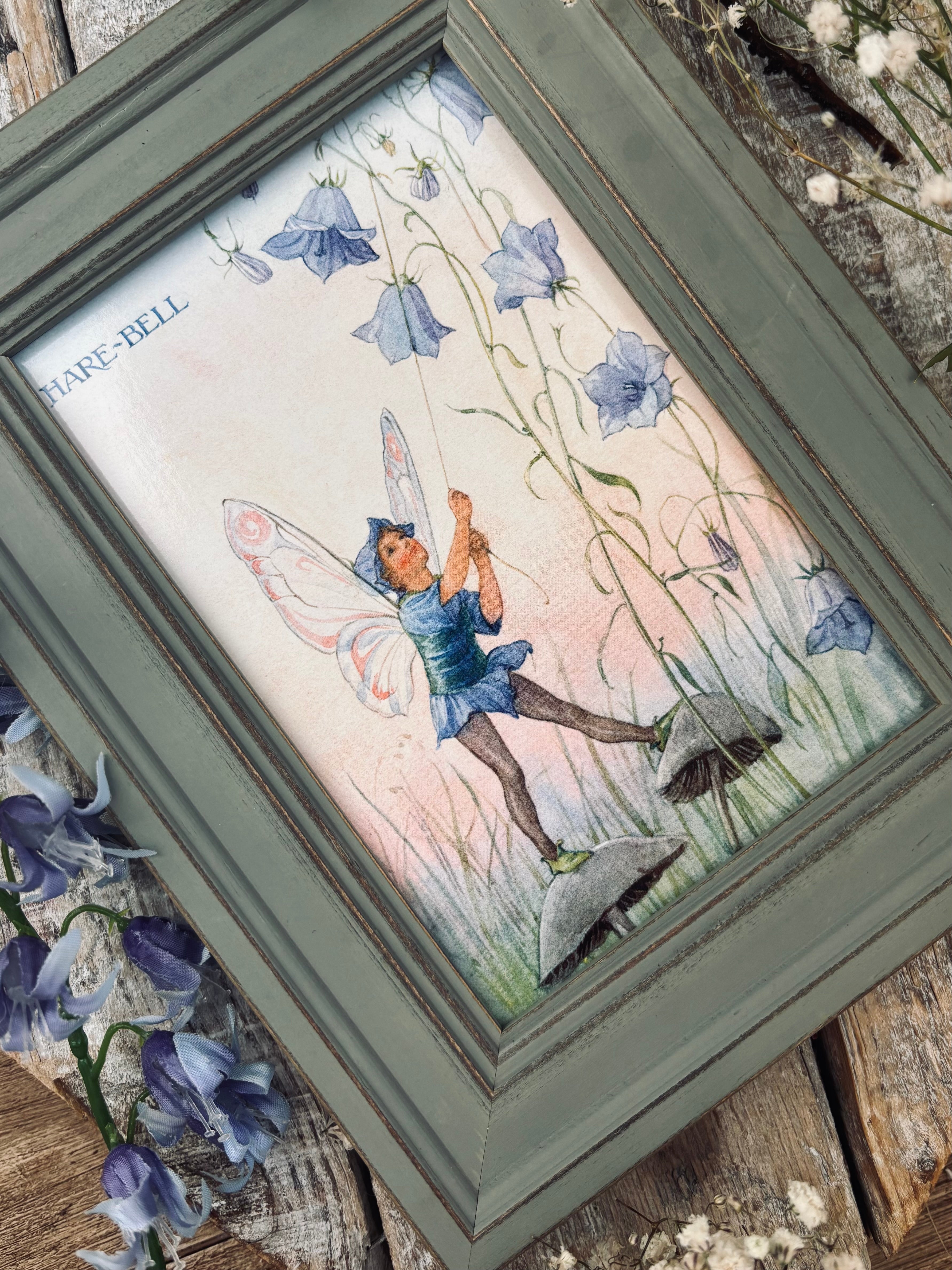 Harebell Fairy - Margaret Tarrant - Framed Postcard