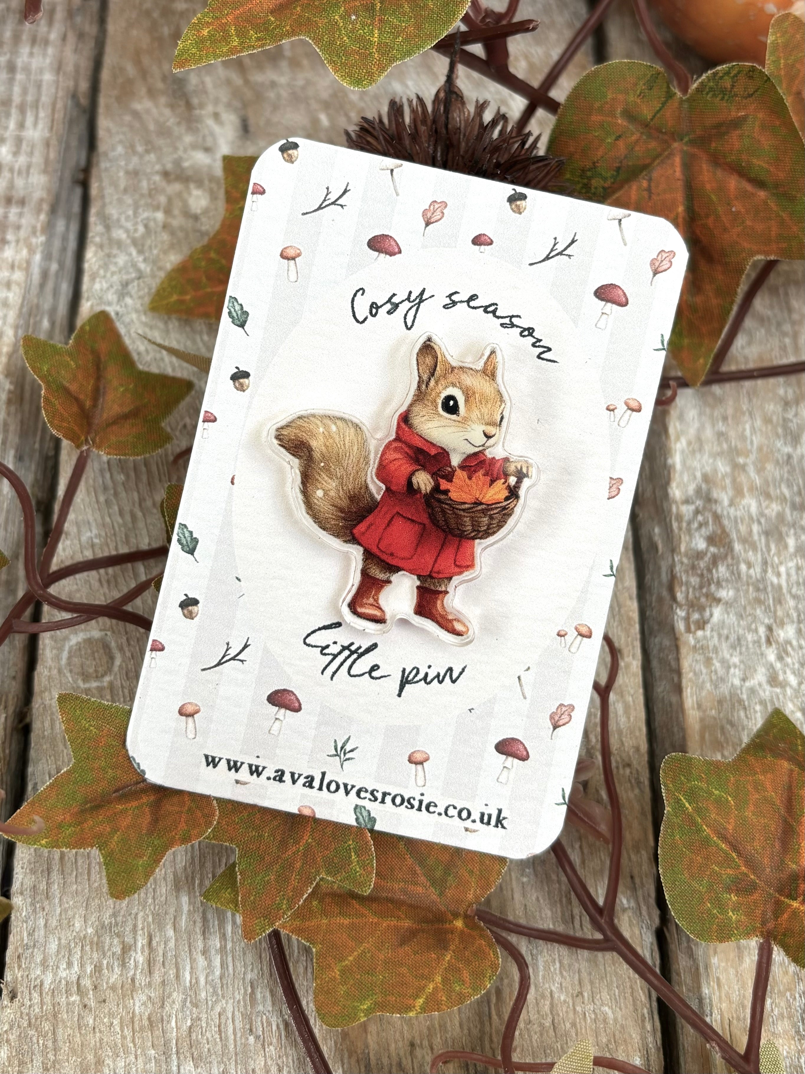 Adorable Little Cosy Season Pin / Brooch - Squirrel