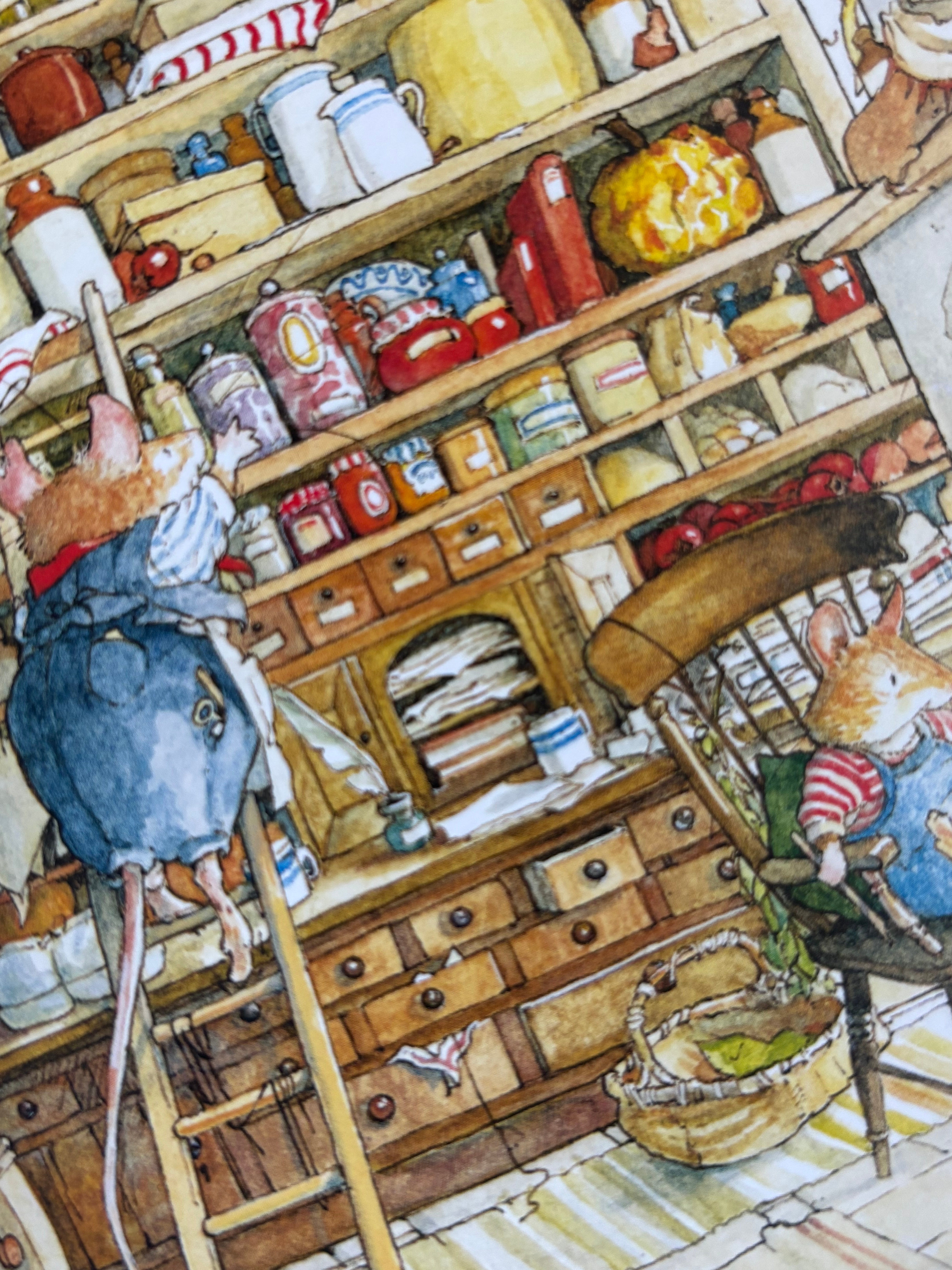 Brambly Hedge 'Inside The Store Stump' Greeting Card
