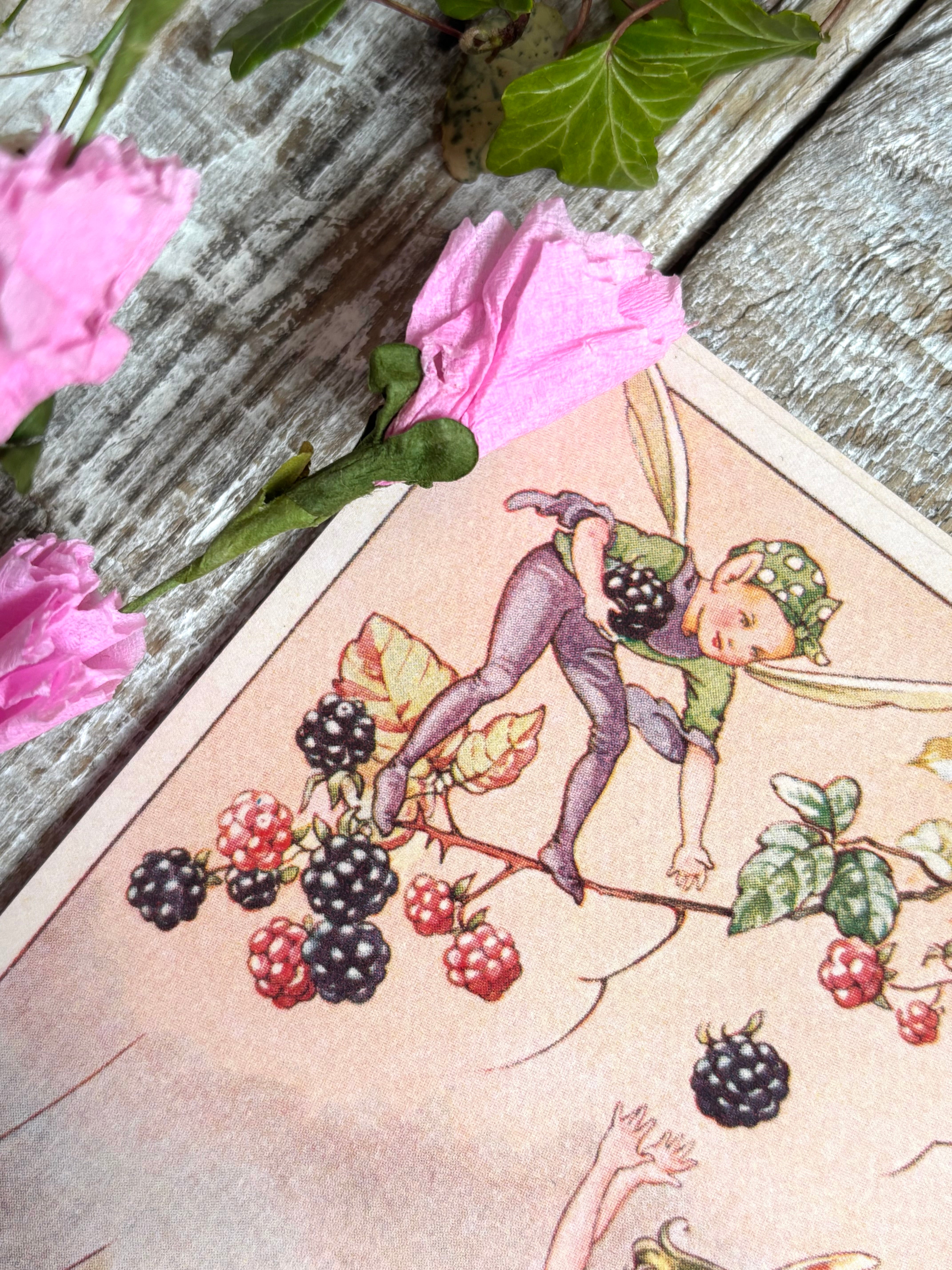 Rene Cloke Fairyland Postcard Series - Blackberries For The Banquet