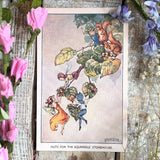Rene Cloke Fairyland Postcard Series - Nuts For The Storehouse