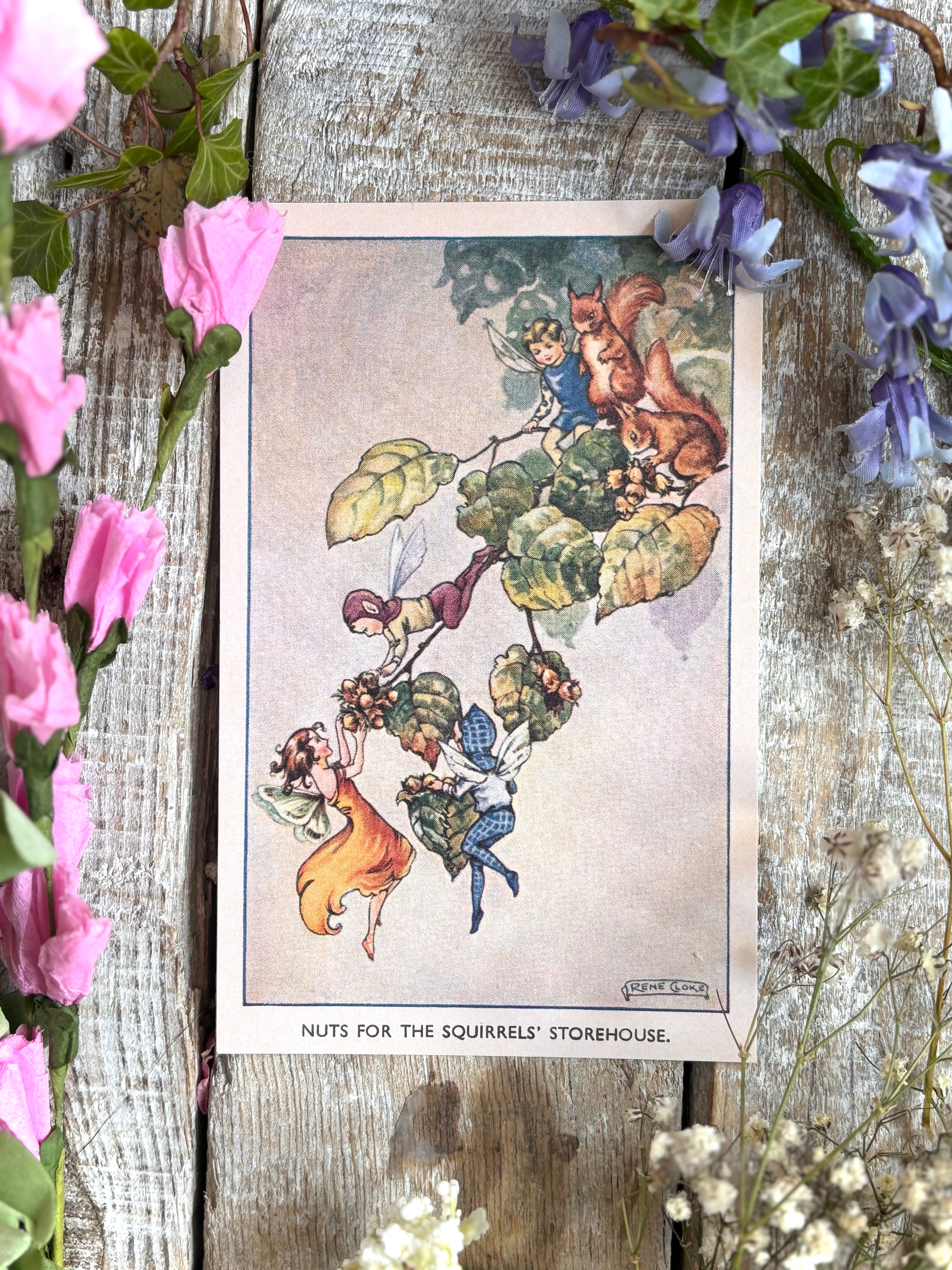 Rene Cloke Fairyland Postcard Series - Nuts For The Storehouse