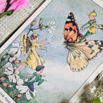 Rene Cloke Fairyland Postcard Series -The Pixie Postman