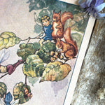 Rene Cloke Fairyland Postcard Series - Nuts For The Storehouse