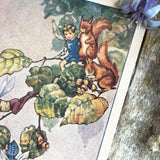 Rene Cloke Fairyland Postcard Series - Nuts For The Storehouse