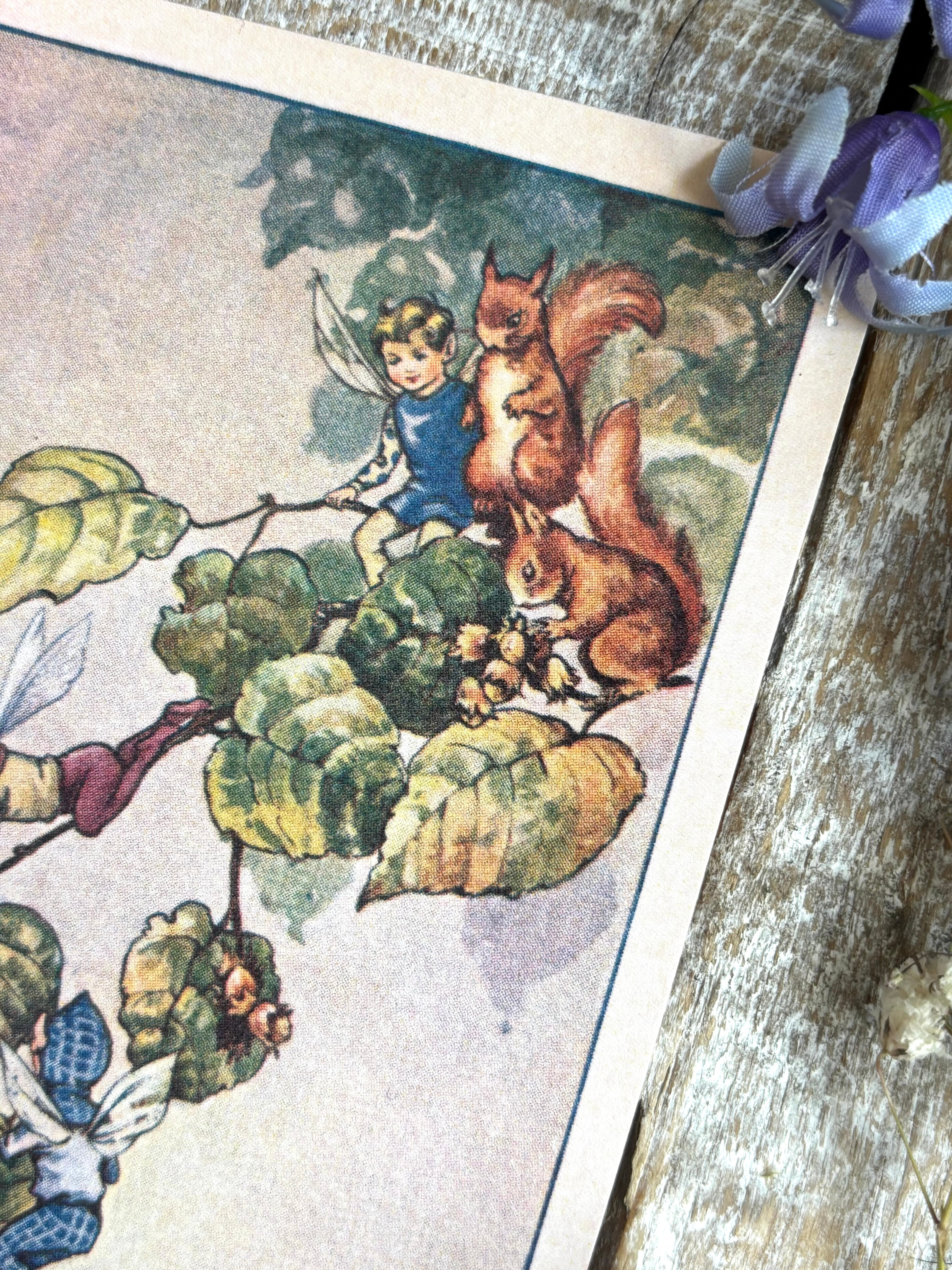 Rene Cloke Fairyland Postcard Series - Nuts For The Storehouse