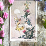 Rene Cloke Fairyland Postcard Series -Thistledown For Fairy Pillows