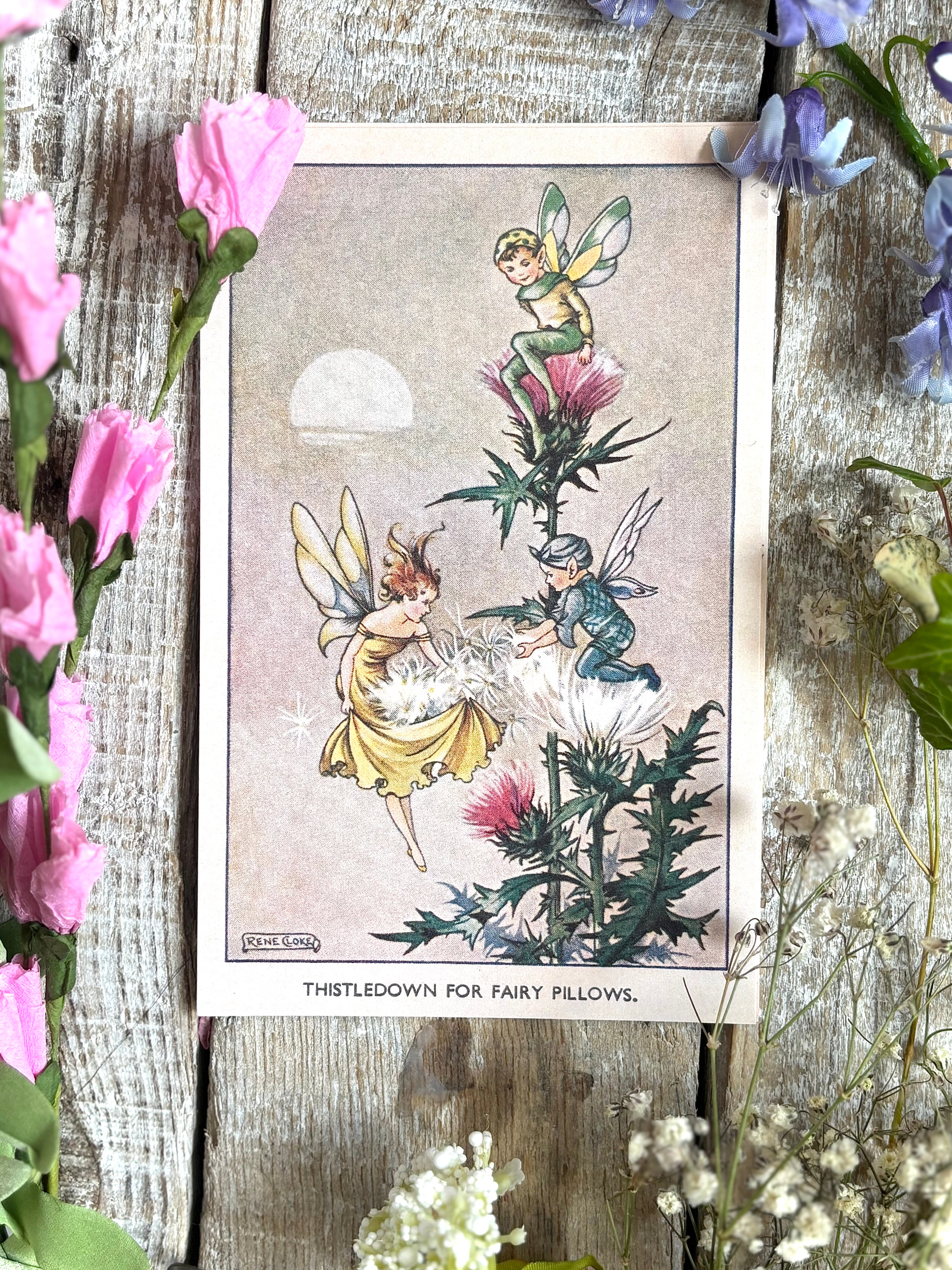 Rene Cloke Fairyland Postcard Series -Thistledown For Fairy Pillows