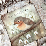 Aluminium Sign - Hello Again, Little Robin