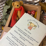 The Bears Of Wishing Wood - Autumn Collection - Brian
