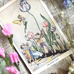 Rene Cloke Fairyland Postcard Series - The Prize Tulip