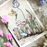 Rene Cloke Fairyland Postcard Series - The Prize Tulip