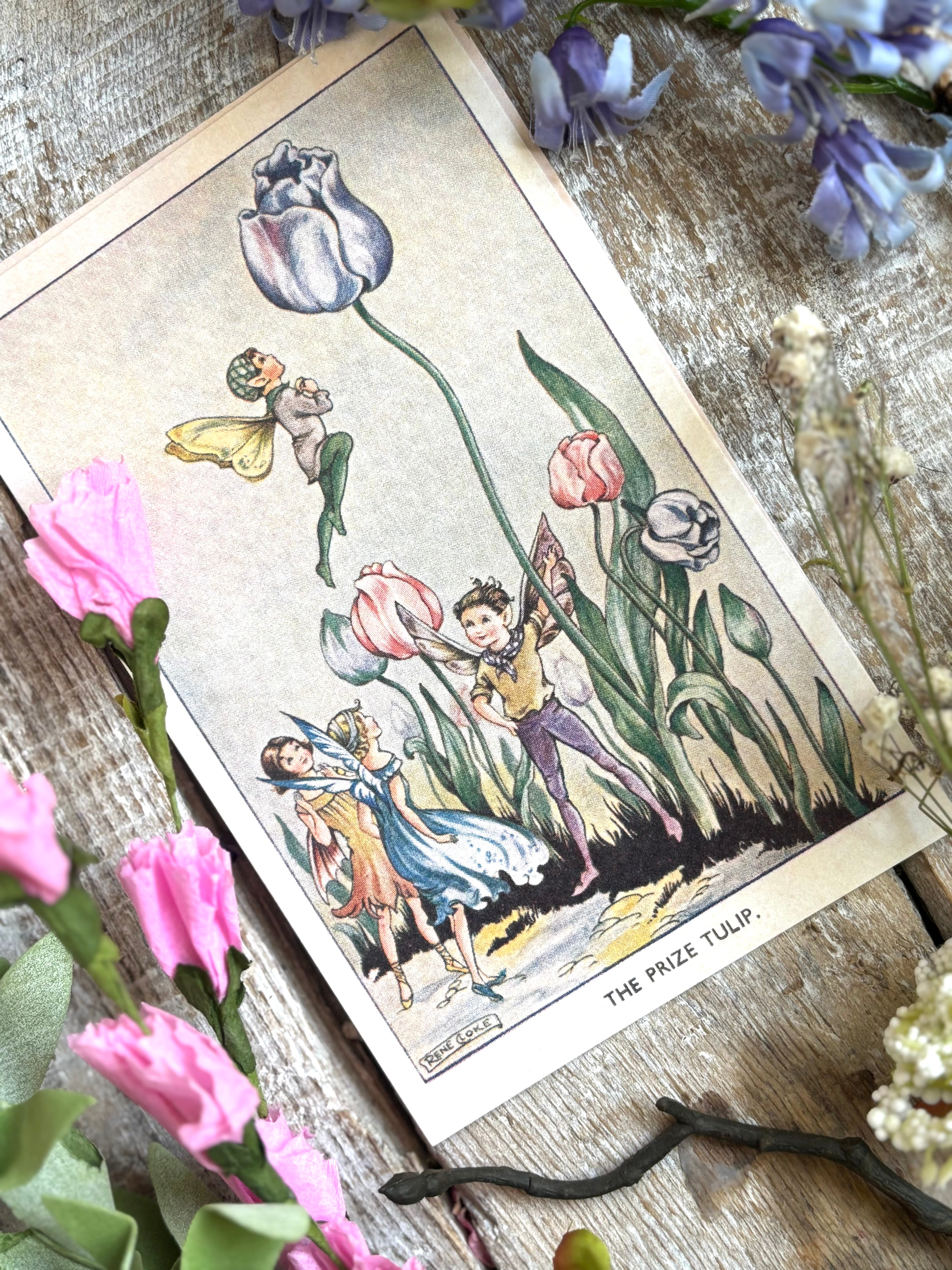 Rene Cloke Fairyland Postcard Series - The Prize Tulip