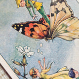 Rene Cloke Fairyland Postcard Series -The Pixie Postman