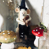 Adorable Little Witch Mouse