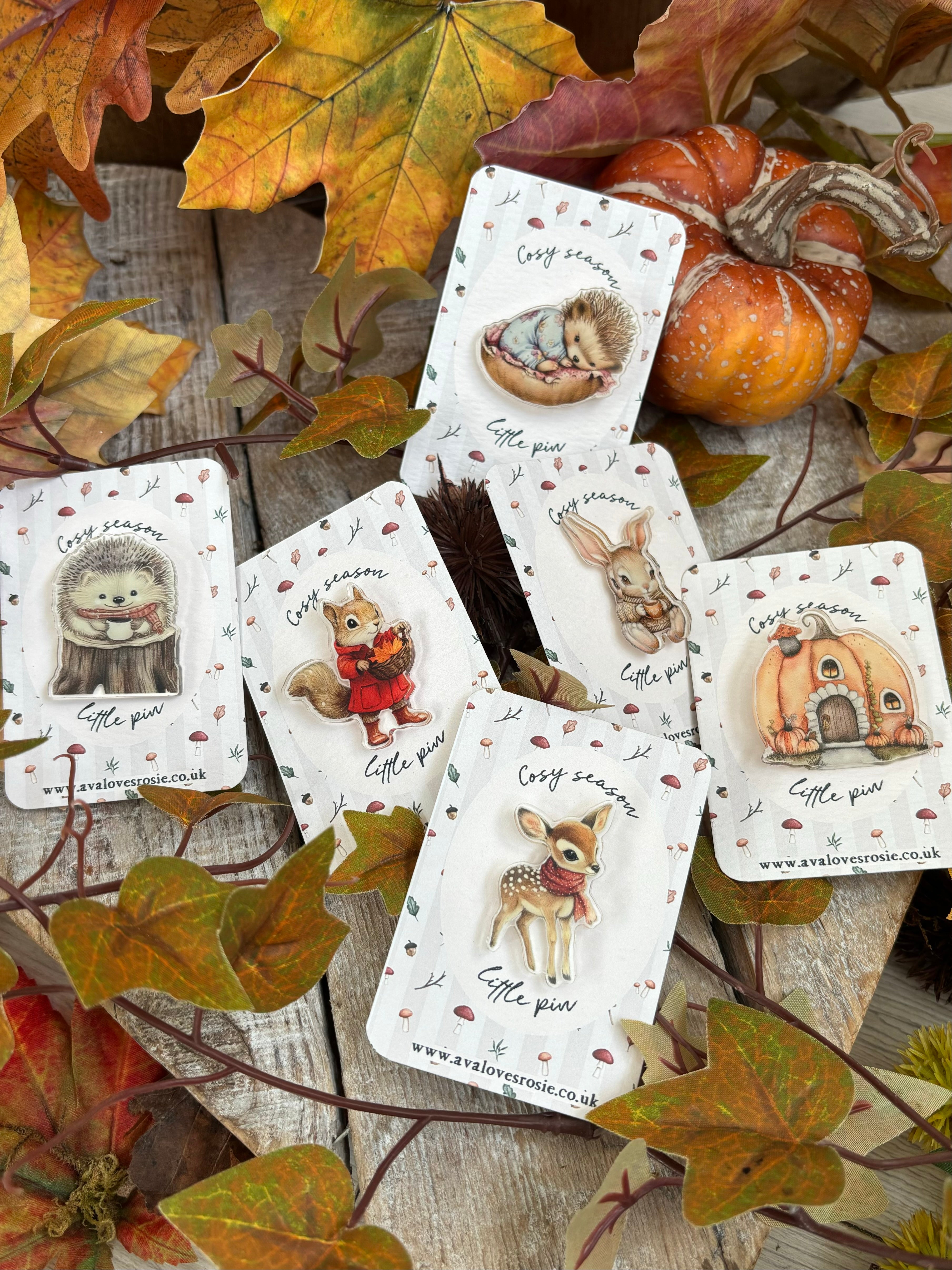 Adorable Little Cosy Season Pin / Brooch - Baby Hedgehog