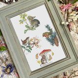 Four Seasons - Molly Brett - Framed Postcard