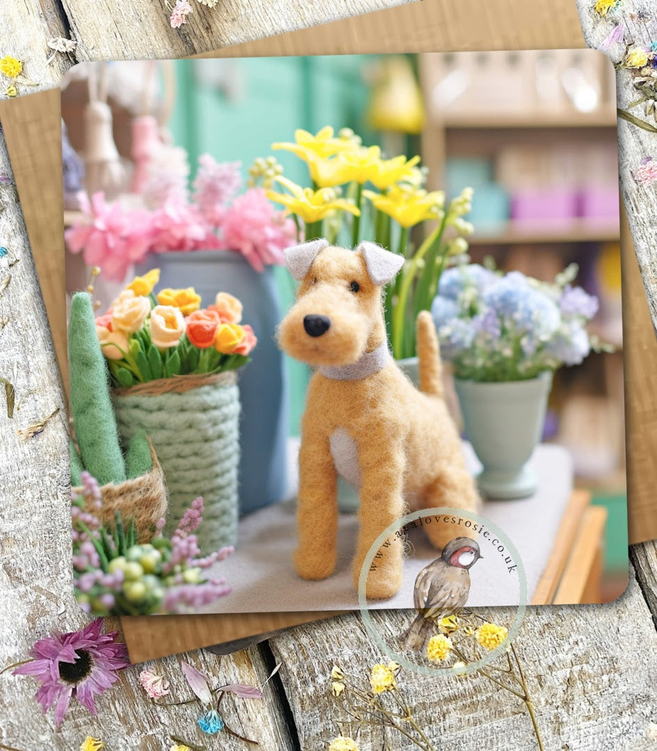Sugar Paws - Blank Greeting Card - Lakeland Terrier - #11