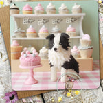 Sugar Paws - Blank Greeting Card - Border Collie - #12