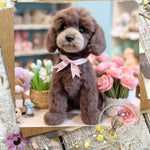 Sugar Paws - Blank Greeting Card - Cockapoo - #2