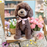 Sugar Paws - Blank Greeting Card - Cockapoo - #2