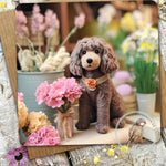 Sugar Paws - Blank Greeting Card - Chocapoo - #32
