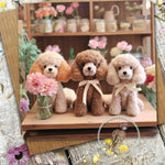 Sugar Paws - Blank Greeting Card - Poodles - #8