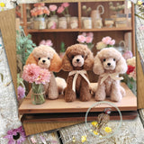Sugar Paws - Blank Greeting Card - Poodles - #8