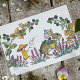 Postcard - Blackberry Time - Margaret Tarrant