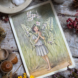 Flower Fairies Wooden Postcard - Lady’s Smock Fairy