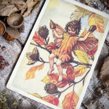 Flower Fairies Wooden Postcard - Beechnut Fairy