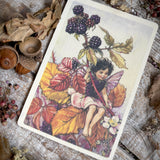 Flower Fairies Wooden Postcard -Blackberry Fairy