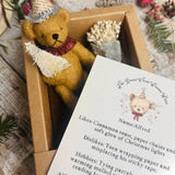 The Bears Of Wishing Wood - Christmas - Alfred