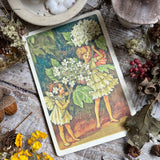 Flower Fairies Wooden Postcard - Ground Elder Fairy