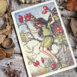 Flower Fairies Wooden Postcard - Rosehip Fairy