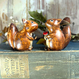 Sweet Little Squirrel Pair