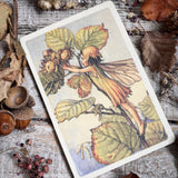 Flower Fairies Wooden Postcard -Hazelnut Fairy