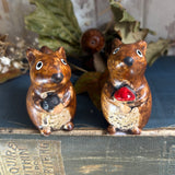 Sweet Little Squirrel Pair