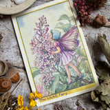 Flower Fairies Wooden Postcard - Lilac Fairy