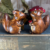 Sweet Little Squirrel Pair
