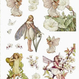 Flower Fairies To Cut Out and Collage: Over 500 Timeless Illustrations To Inspire Creativity