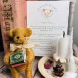 The Bears Of Wishing Wood - Little Bookworms - Oscar