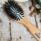 Peter Rabbit Squirrel Nutkin™ Small Bristle Nylon Mix Hairbrush