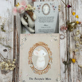 The Fairytale Mice  - Aldous