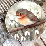 Little Robin Tin